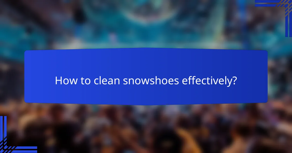 How to clean snowshoes effectively?